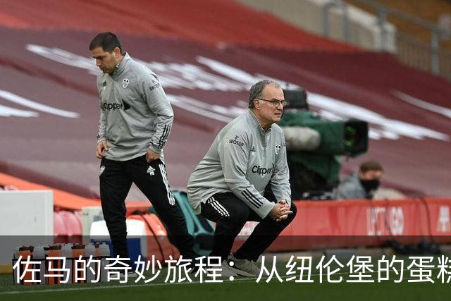 佐马的奇妙旅程：从纽伦堡的蛋糕到蓝衣军团的荣耀
